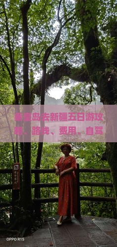 秦皇岛去新疆五日游