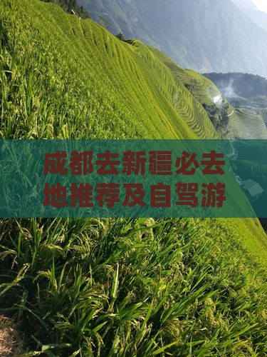 成都去新疆必去地