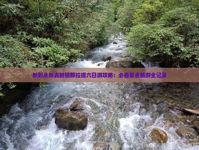 永新去新疆那拉提六日游