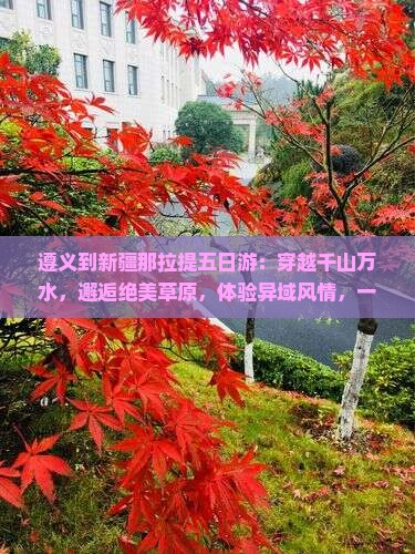 遵义到新疆那拉提五日游