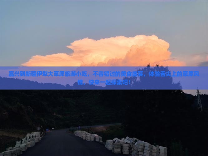 嘉兴到新疆伊犁大草原旅游小吃