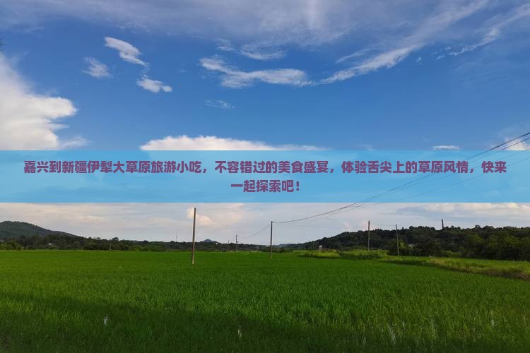 嘉兴到新疆伊犁大草原旅游小吃