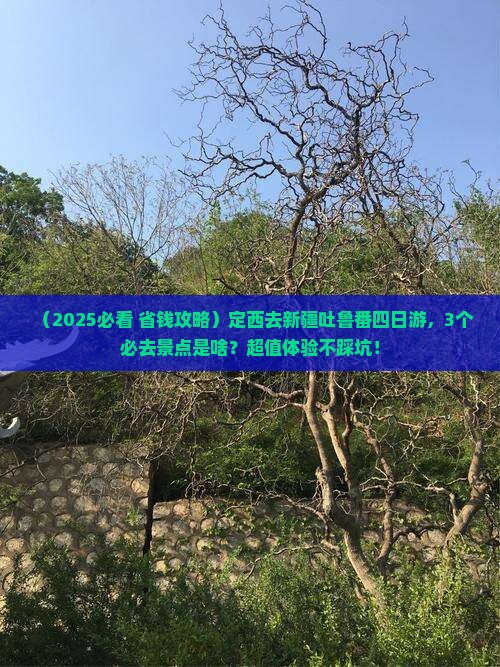 定西去新疆吐鲁番四日游