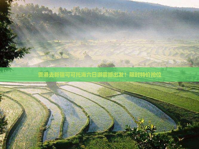 贵港去新疆可可托海六日游
