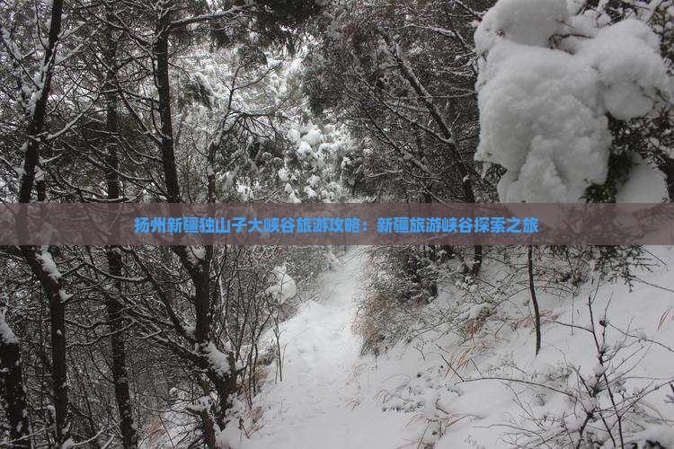 扬州去新疆独山子大峡谷大型旅游团