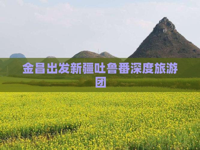 金昌出发新疆吐鲁番深度旅游团