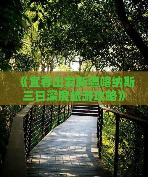 《宜春出发新疆喀纳斯三日深度旅游攻略》