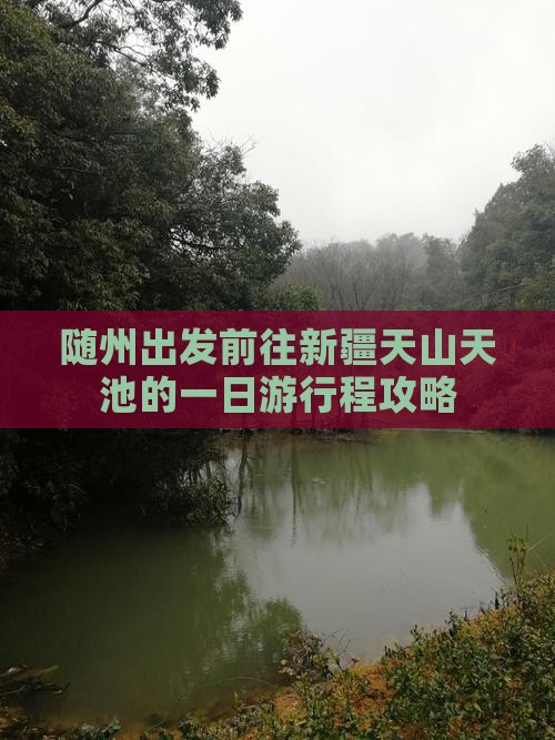 随州出发前往新疆天山天池的一日游行程攻略