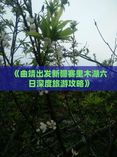《曲靖出发新疆赛里木湖六日深度旅游攻略》