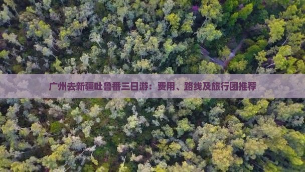 广州去新疆吐鲁番三日游：费用、路线及旅行团推荐