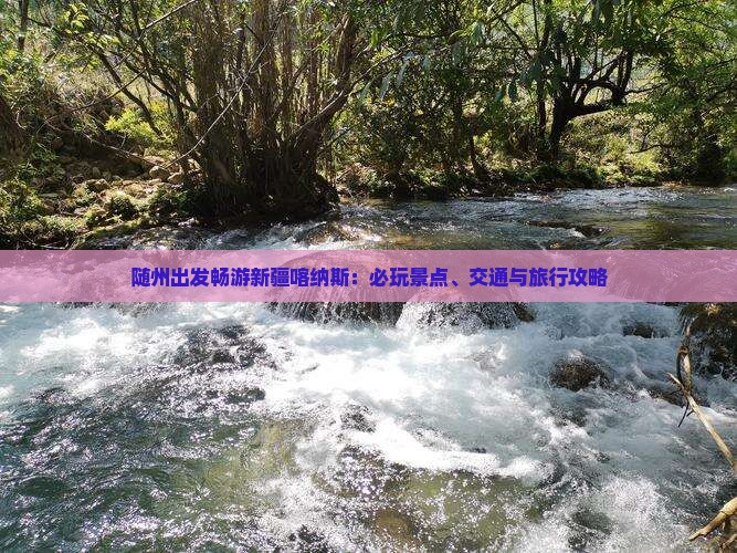 随州出发畅游新疆喀纳斯：必玩景点、交通与旅行攻略