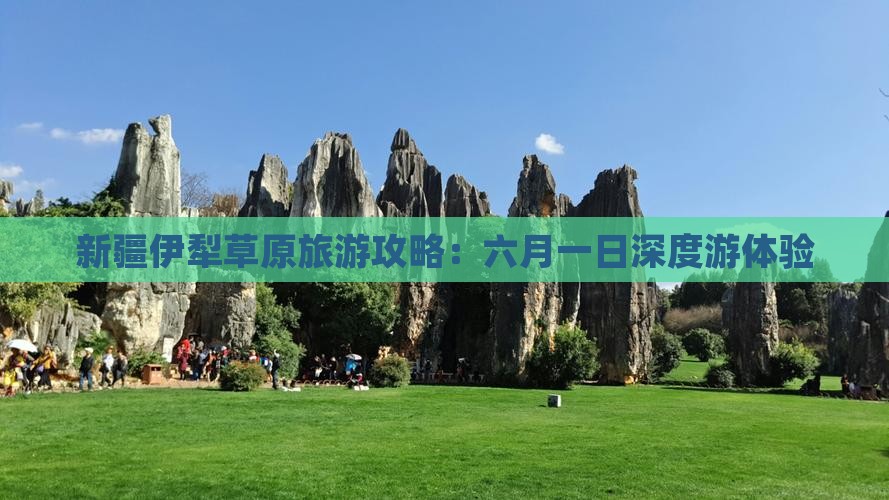 新疆伊犁草原旅游攻略：六月一日深度游体验