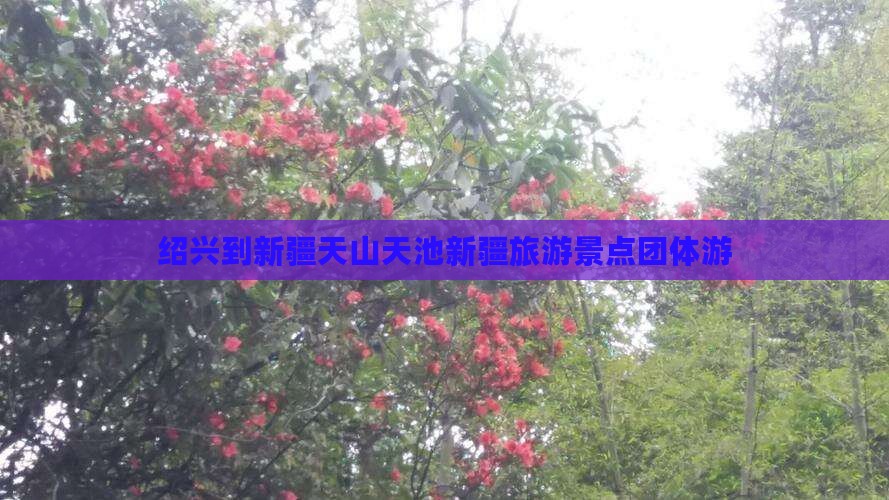 绍兴到新疆天山天池新疆旅游景点团体游