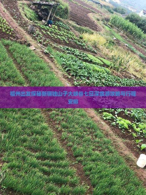福州出发探秘新疆独山子大峡谷七日深度游攻略与行程安排