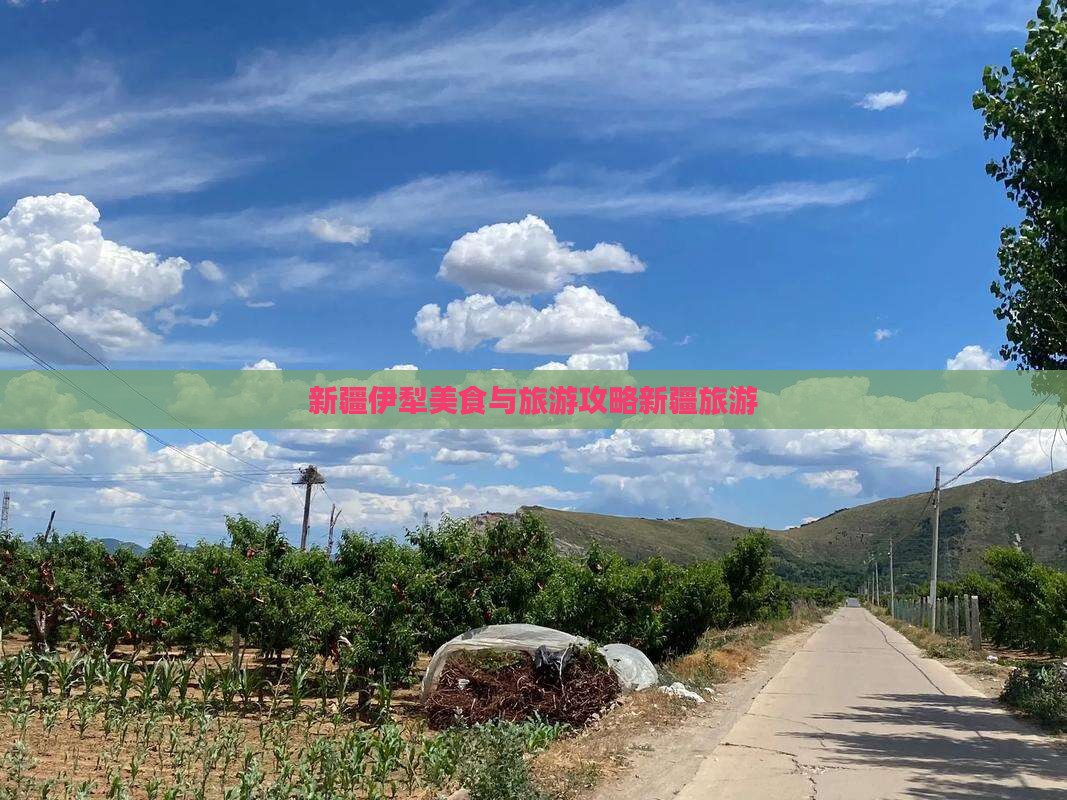 新疆伊犁美食与旅游攻略新疆旅游