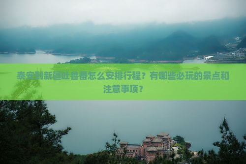 泰安到新疆吐鲁番哪里玩