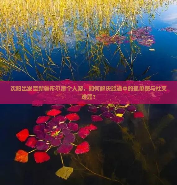 沈阳到新疆布尔津个人游