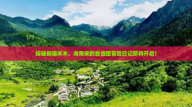 海南省直辖到新疆禾木自由团