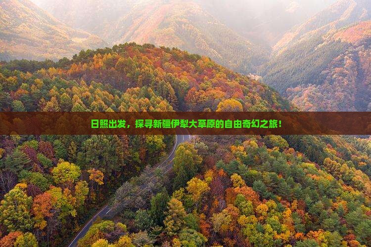 日照到新疆伊犁大草原自由行