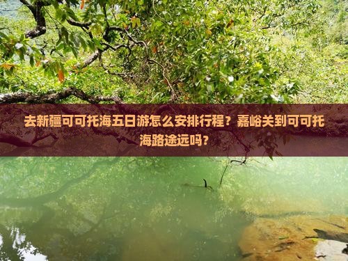 嘉峪关去新疆可可托海五日游