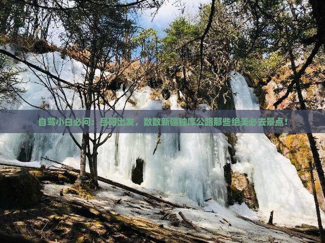 岳阳到新疆独库公路必去地