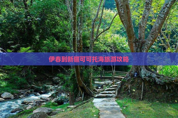 伊春到新疆可可托海团体旅游