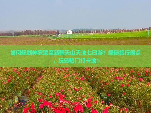 神农架到新疆天山天池七日游