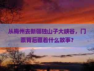 梅州到新疆独山子大峡谷门票