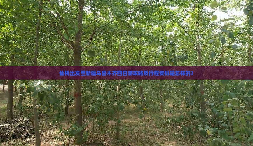 仙桃去新疆乌鲁木齐四日游