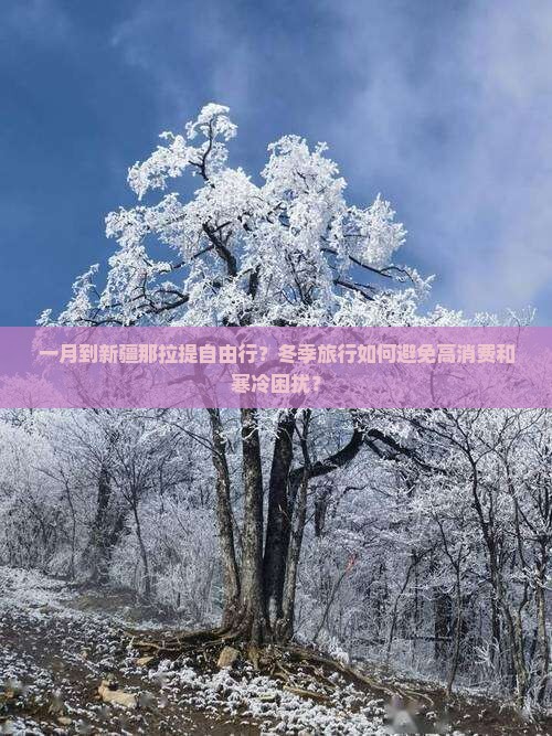 一月到新疆那拉提自由行