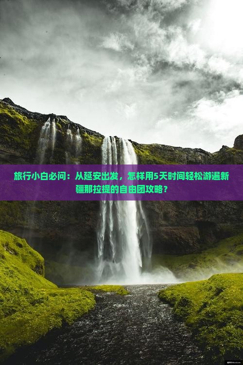 延安到新疆那拉提自由团