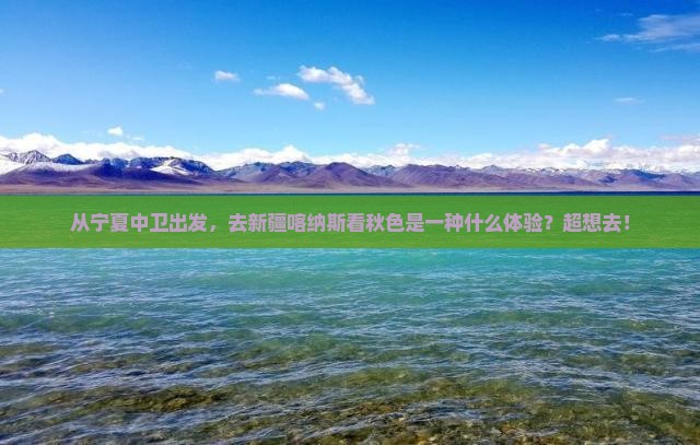中卫到新疆喀纳斯旅游