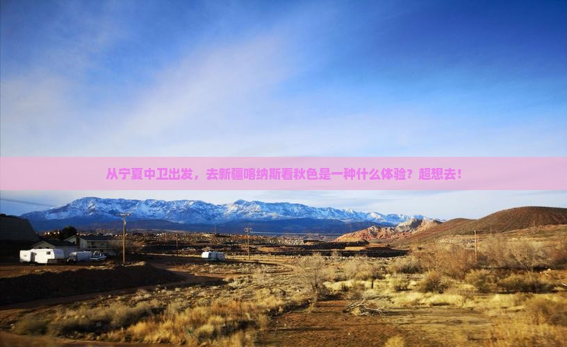 中卫到新疆喀纳斯旅游