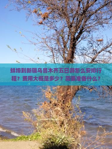 蚌埠到新疆乌鲁木齐五日游