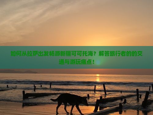 拉萨去新疆可可托海哪里玩