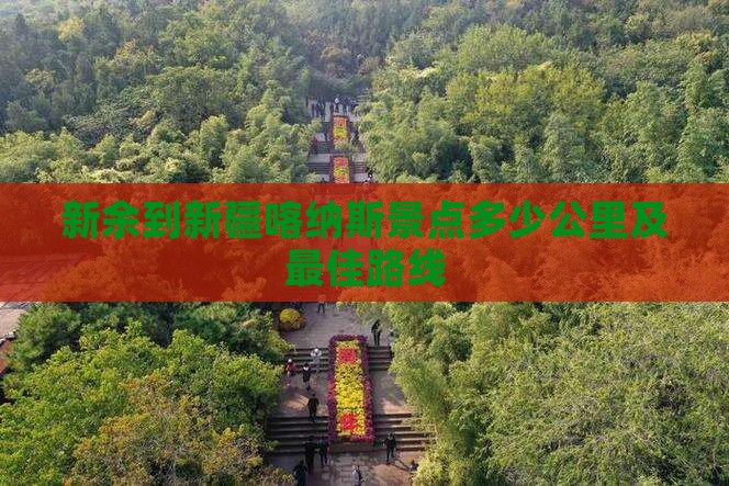 新余到新疆喀纳斯景点