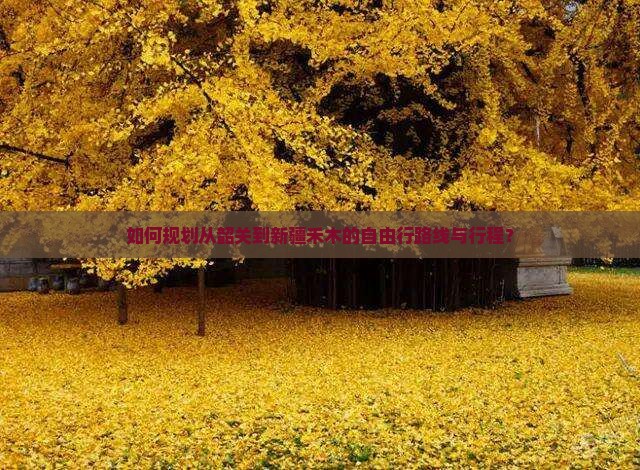 韶关到新疆禾木自由行