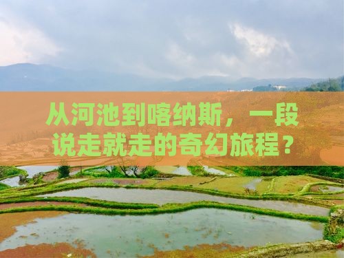 河池去新疆喀纳斯自由团