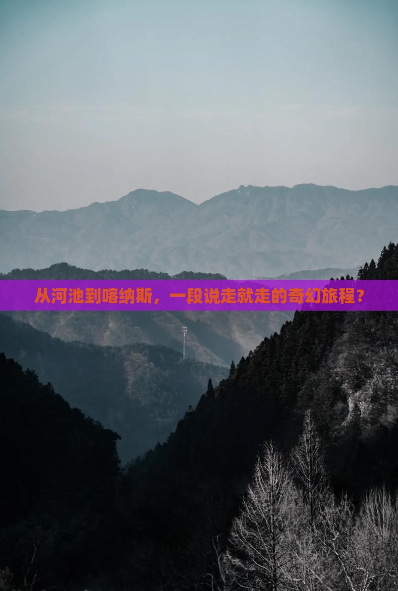 河池去新疆喀纳斯自由团