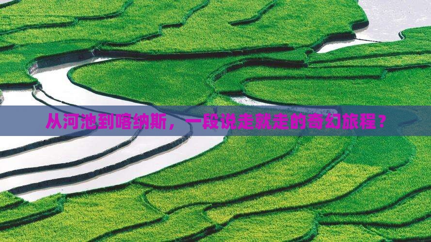 河池去新疆喀纳斯自由团