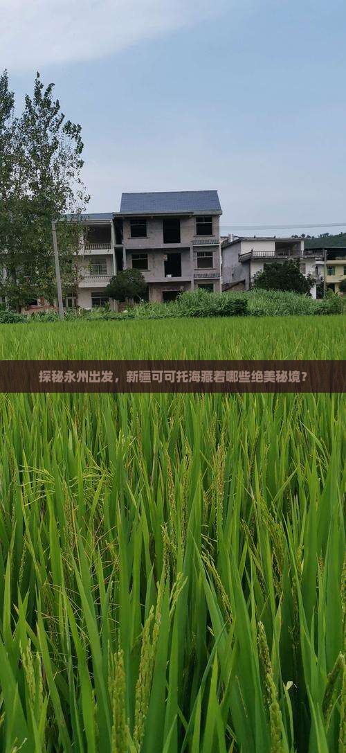 永州到新疆可可托海哪里玩