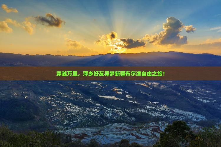 萍乡到新疆布尔津自由团
