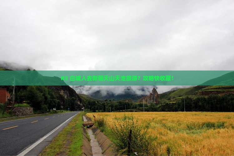 白城去新疆天山天池哪里玩