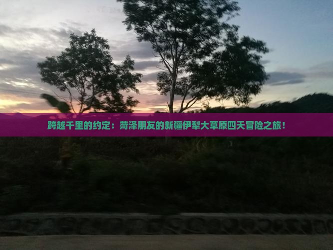 菏泽到新疆伊犁大草原四日游