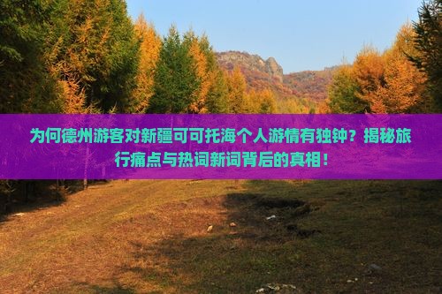 德州去新疆可可托海个人游