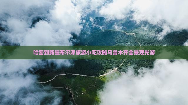 哈密到新疆布尔津旅游小吃