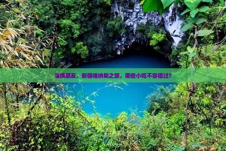 淄博去新疆喀纳斯旅游小吃