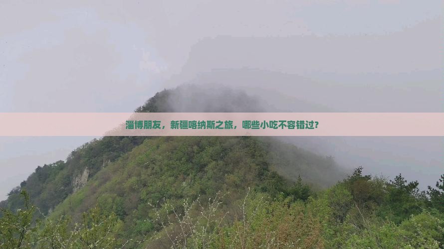 淄博去新疆喀纳斯旅游小吃