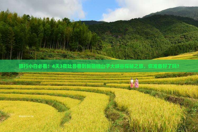 吐鲁番到新疆独山子大峡谷四日游
