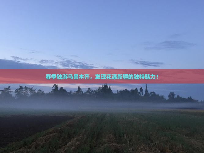 春天去新疆乌鲁木齐个人游